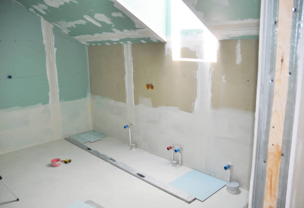 Best Black Mold Removal  in Minooka, IL