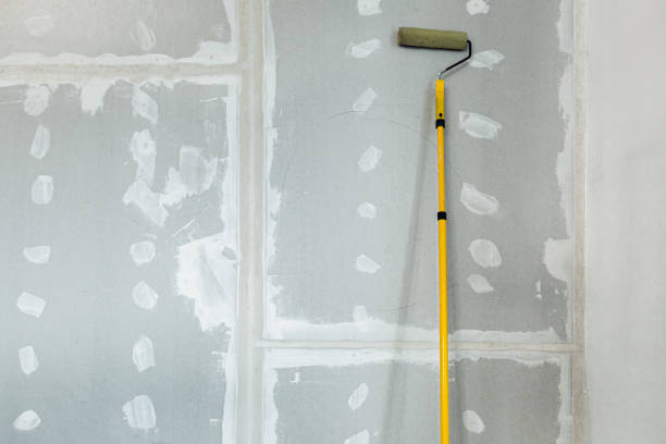 Best Emergency Mold Remediation  in Minooka, IL