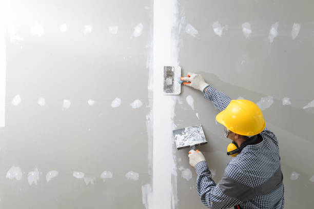 Best Post-Remediation Verification Testing  in Minooka, IL