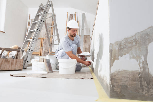 Reliable Minooka, IL Mold Removal Solutions