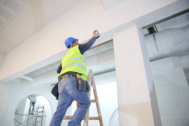 Best Mold Remediation for Healthcare Facilities  in Minooka, IL