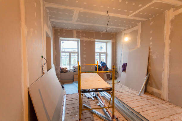 Best Attic Mold Removal  in Minooka, IL
