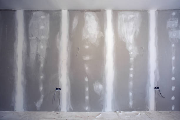 Best Mold Remediation for Vacation Homes  in Minooka, IL